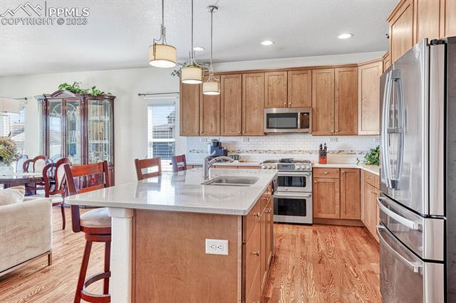 6284 Mount Ouray Drive