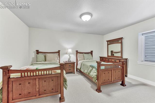 6284 Mount Ouray Drive