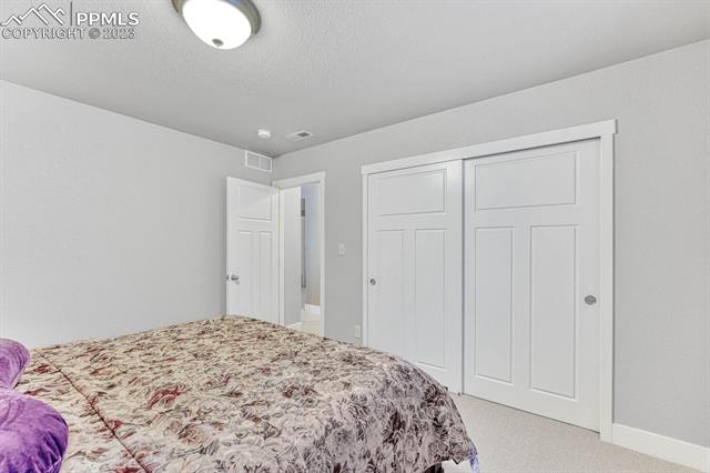 6284 Mount Ouray Drive
