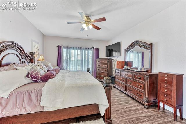 6284 Mount Ouray Drive