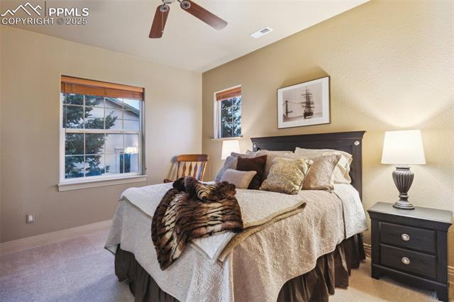 856 Mont Blanc View