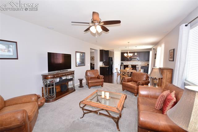 8275 Silver Birch Drive