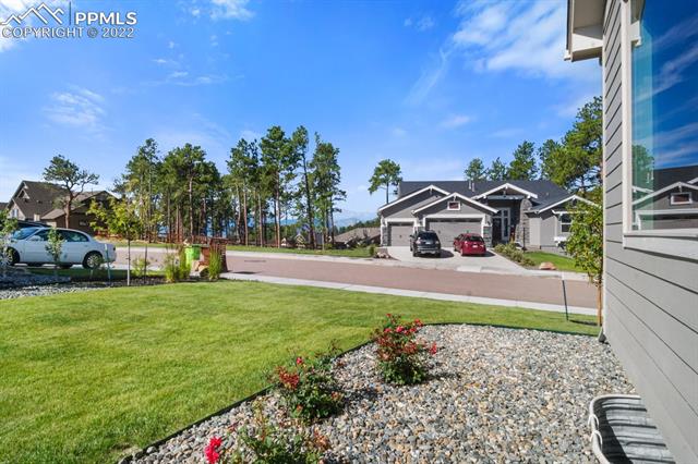 1495 Catnap Lane