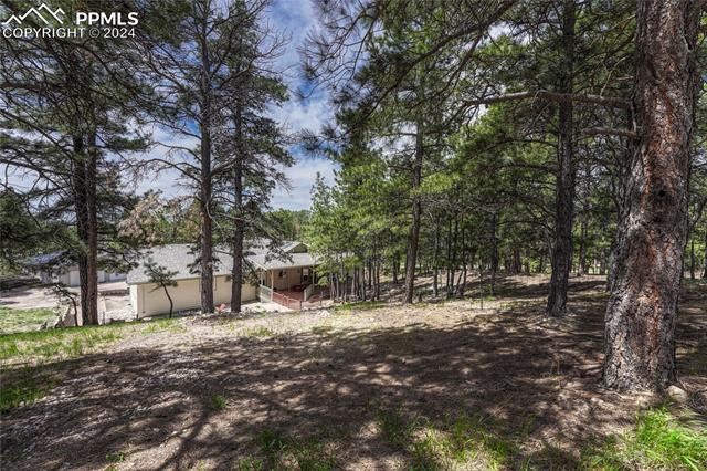 18660 Steeplechase Drive