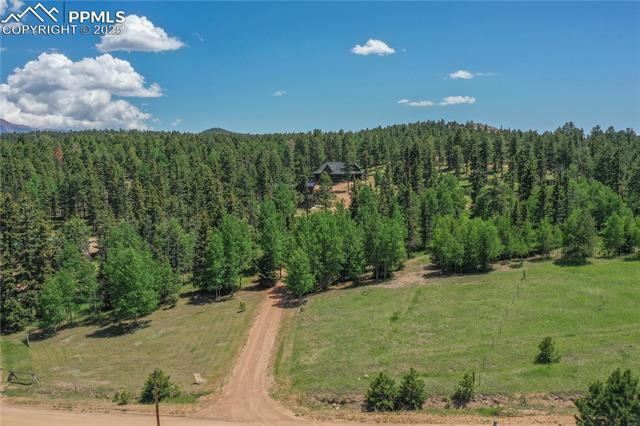 101 Daniwood Grove