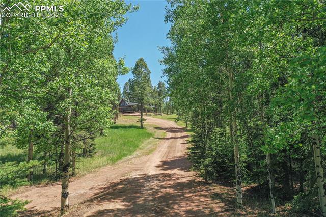 101 Daniwood Grove