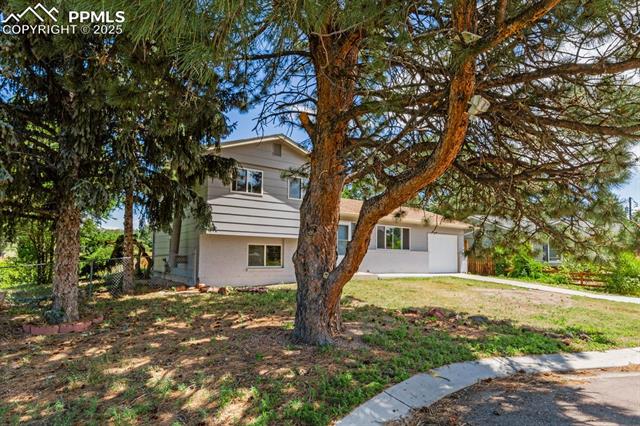 4116 Goldenrod Lane