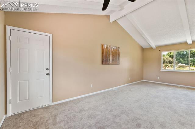 4116 Goldenrod Lane