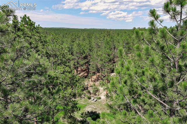 4580 Creek View Road