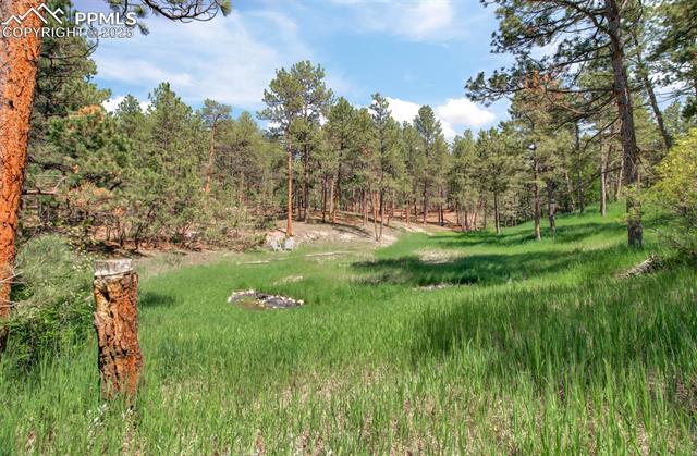 4580 Creek View Road