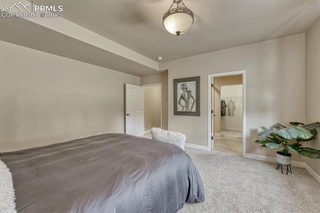 1250 Cottontail Trail
