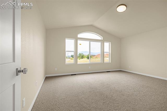 711 Little Bear Grove
