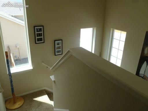 6207 Passing Sky Drive