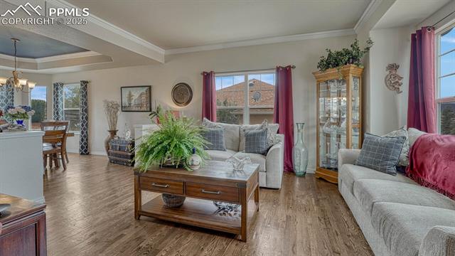 16184 Gold Creek Drive