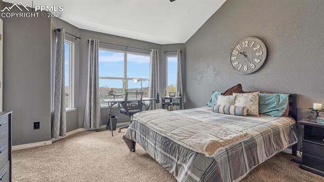 16184 Gold Creek Drive