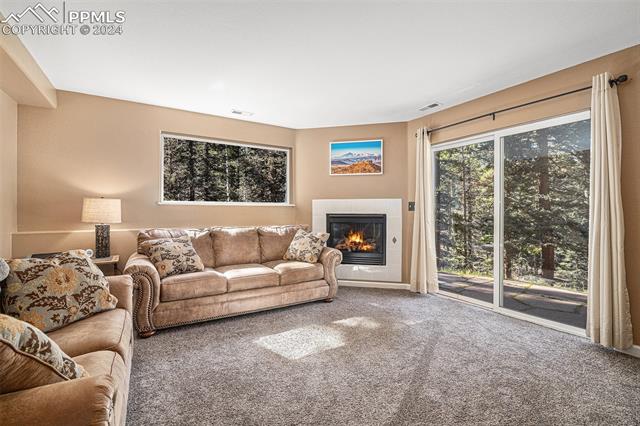 564 Black Bear Drive