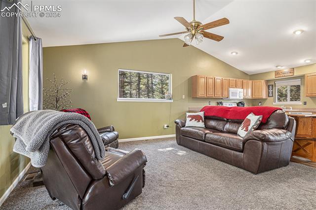 564 Black Bear Drive