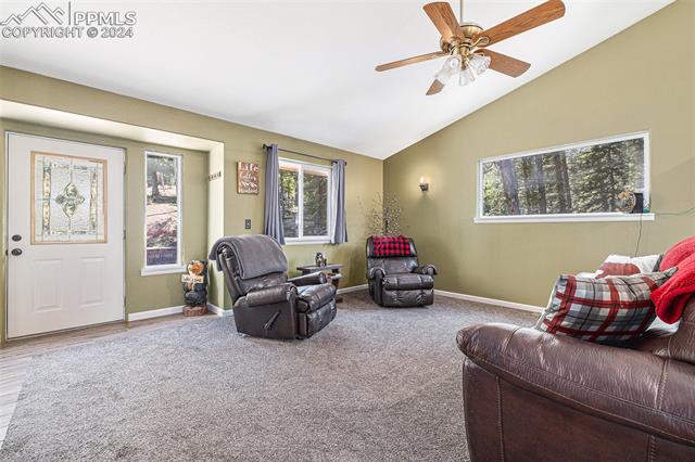 564 Black Bear Drive