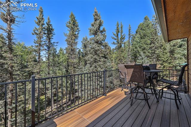 564 Black Bear Drive