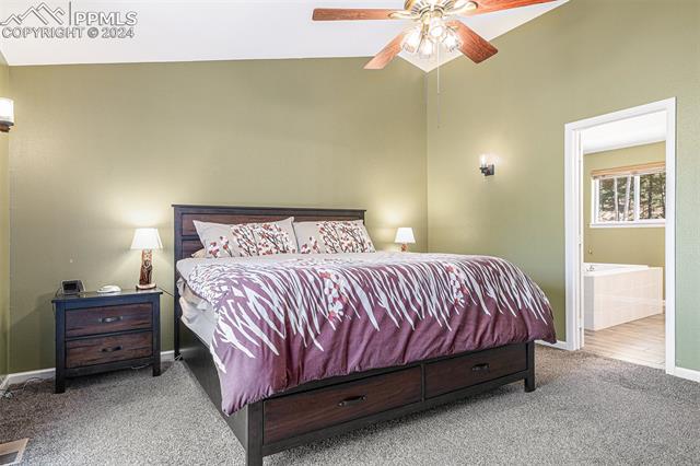 564 Black Bear Drive