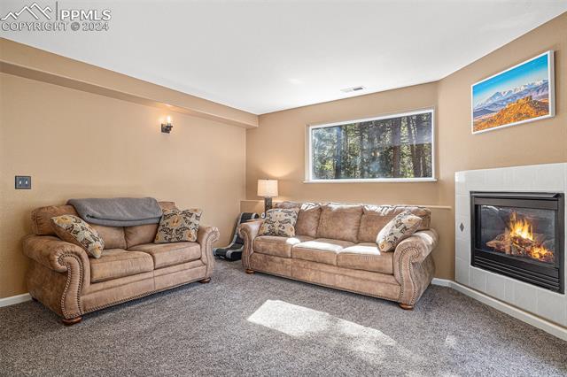 564 Black Bear Drive