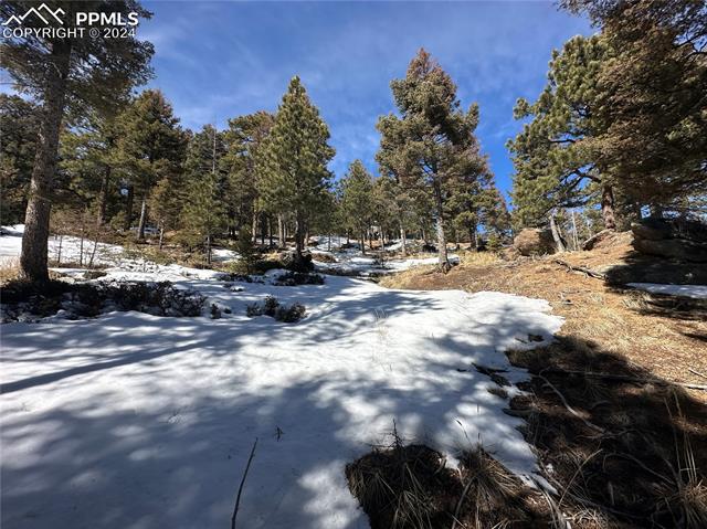 91 Ponderosa View