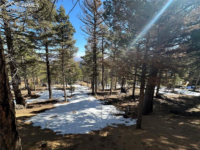 91 Ponderosa View