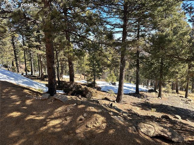 91 Ponderosa View