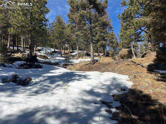 91 Ponderosa View
