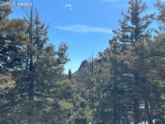 91 Ponderosa View