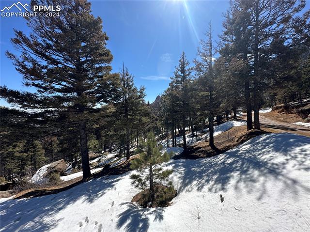 91 Ponderosa View
