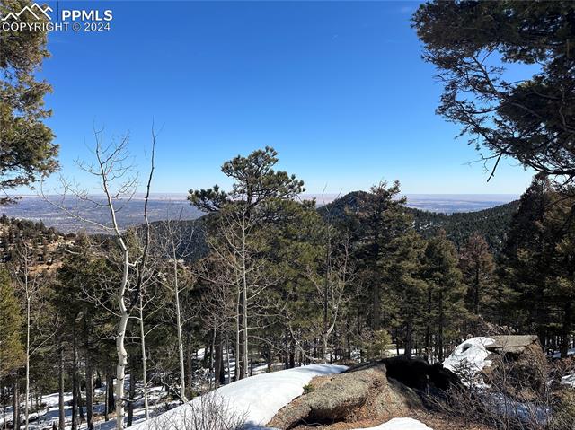 91 Ponderosa View