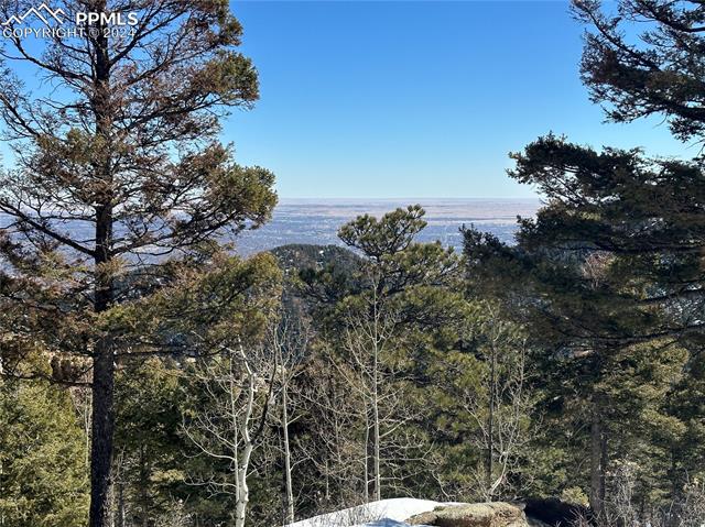 91 Ponderosa View