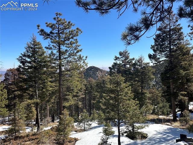 91 Ponderosa View