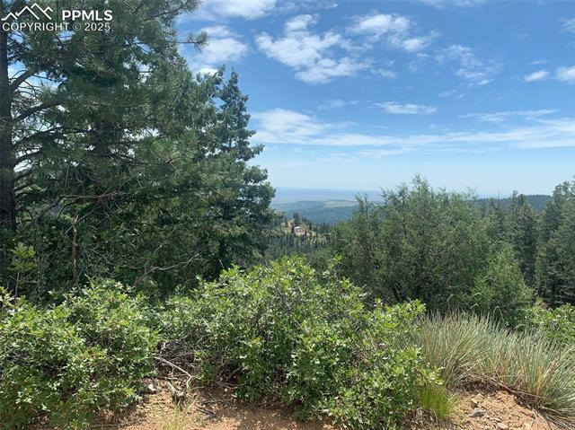 3435 Little Turkey Creek Road