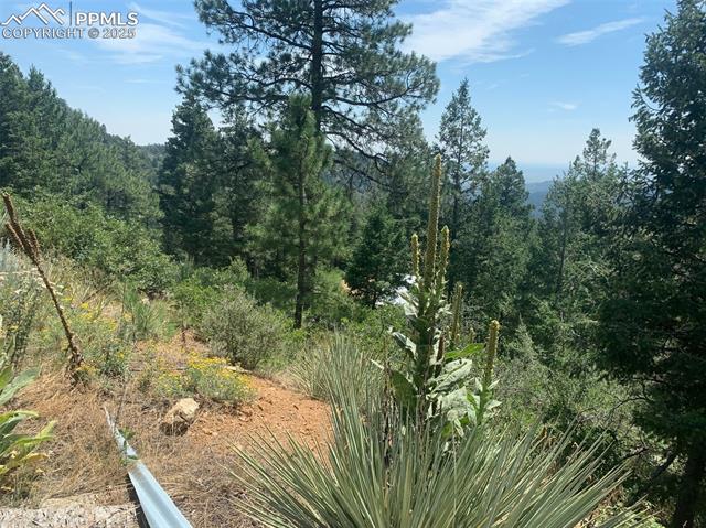 3435 Little Turkey Creek Road