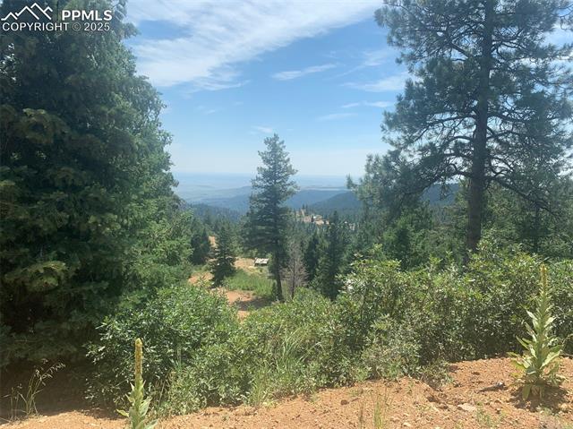 3435 Little Turkey Creek Road