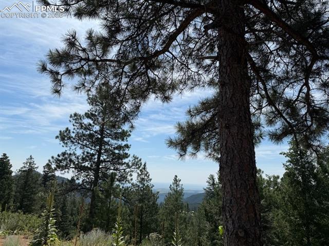 3435 Little Turkey Creek Road