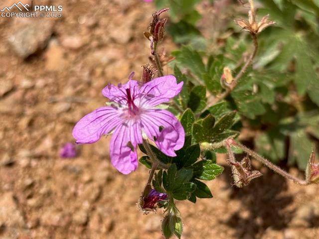 3435 Little Turkey Creek Road