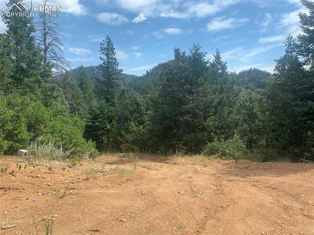 3435 Little Turkey Creek Road