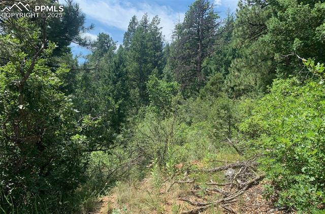 3435 Little Turkey Creek Road