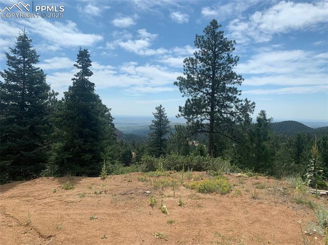 3435 Little Turkey Creek Road