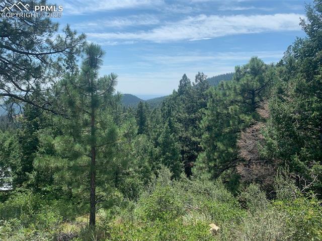 3435 Little Turkey Creek Road