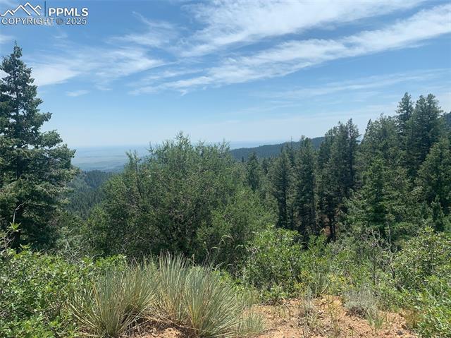 3435 Little Turkey Creek Road