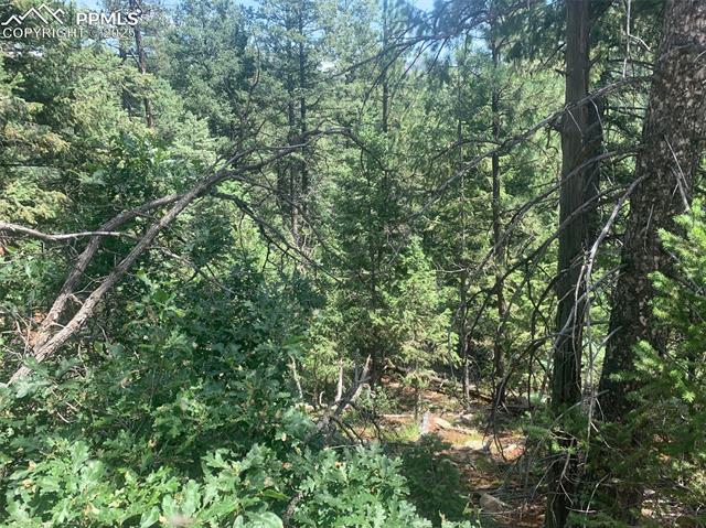 3435 Little Turkey Creek Road