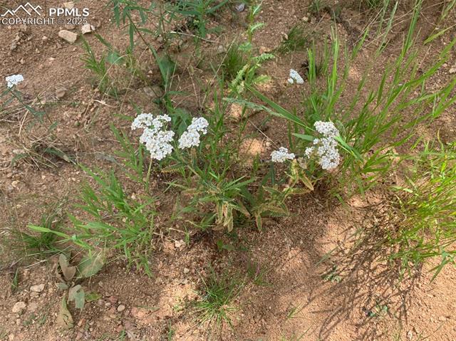 3435 Little Turkey Creek Road