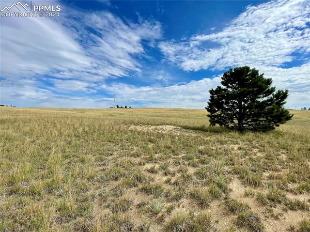 18602 Longhorn Acres Trail