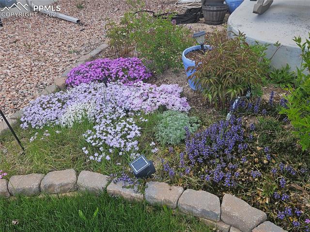 8724 Vanderwood Road