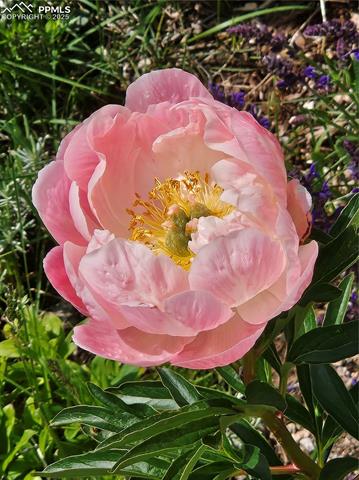 8724 Vanderwood Road