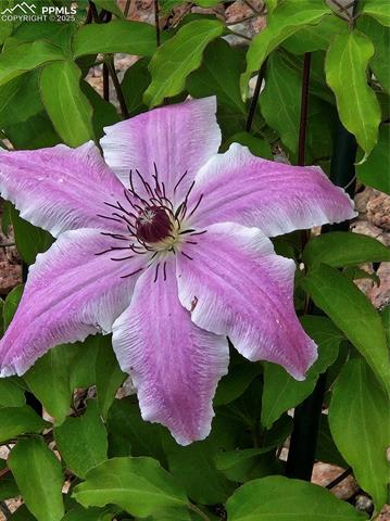 8724 Vanderwood Road